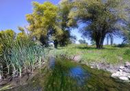 Новозванівка з panoramio.com
