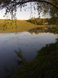 Кордонівка - Останні фото