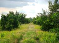 Гур'їв Козачок - Останні фото