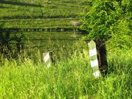 Маркова з panoramio.com