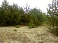 Рудня-Городище з panoramio.com