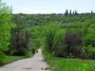 Привітне - Останні фото