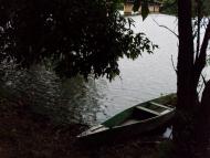 Бубнівка з panoramio.com