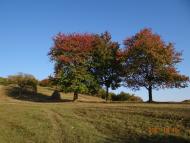 Хмелів з panoramio.com (ч.2)