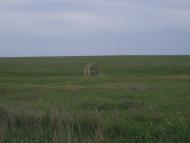 Борисівка з panoramio.com