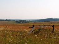 Перепельники з panoramio.com