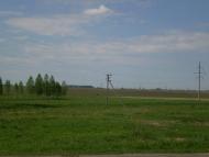 Пальче з panoramio.com