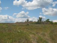 Октябрське з panoramio.com