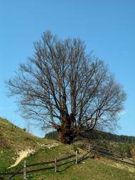 Долішній Шепіт з panoramio.com