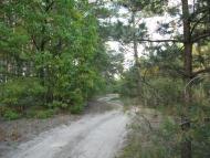 Адамчуки з panoramio.com