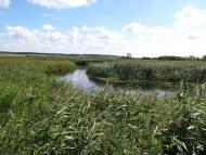 Фалемичі з panoramio.com