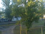 Кряківка з panoramio.com