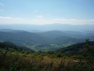 Липовець з panoramio.com