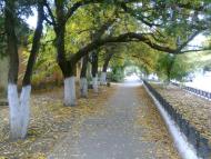 Овідіополь з panoramio.com