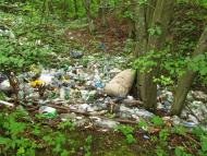 Маркова з panoramio.com