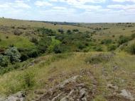 Олексіївка - Останні фото