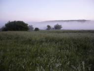 Кам'янка з panoramio.com