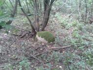 Глибочка з panoramio.com