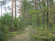 Адамчуки з panoramio.com