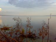 Циблі з panoramio.com