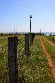 Калинівка з panoramio.com