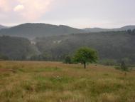 Люта з panoramio.com