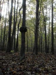 Хрипськ з panoramio.com