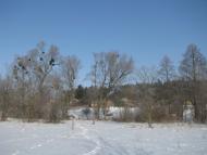 Троянівка з panoramio.com