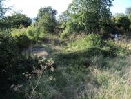 Запрудне з panoramio.com