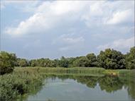 Новомануйлівка - Останні фото