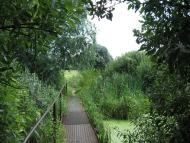 Стави з panoramio.com