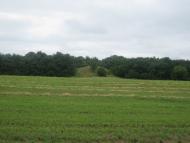 Садки з panoramio.com