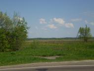 Пальче з panoramio.com