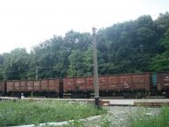 Нігин з panoramio.com