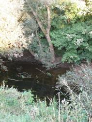 Саврань - Останні фото