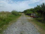 Пасіки-Зубрицькі - Останні фото