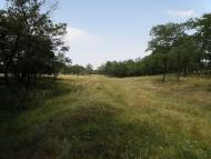 Княгинівка з panoramio.com