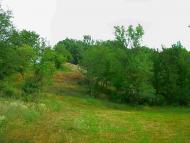 Голубинка з panoramio.com