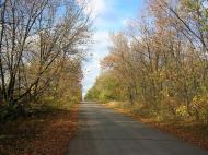 Привітне - Останні фото