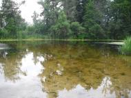 Перекопівка з panoramio.com