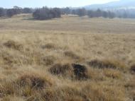 Бедевля з panoramio.com