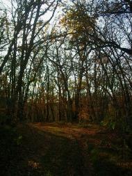 Верхоріччя з panoramio.com