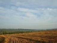 Фрунзенка з panoramio.com