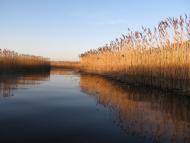 Фалемичі з panoramio.com