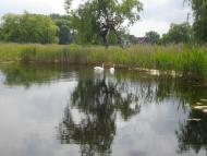 Ківерці з panoramio.com