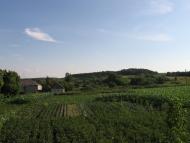 Катеринівка з panoramio.com