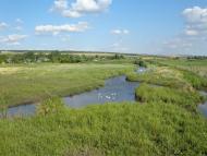 Новопавлівка - Останні фото