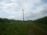 Вербка з panoramio.com