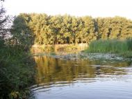 Саврань - Останні фото