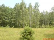 Мединівка з panoramio.com